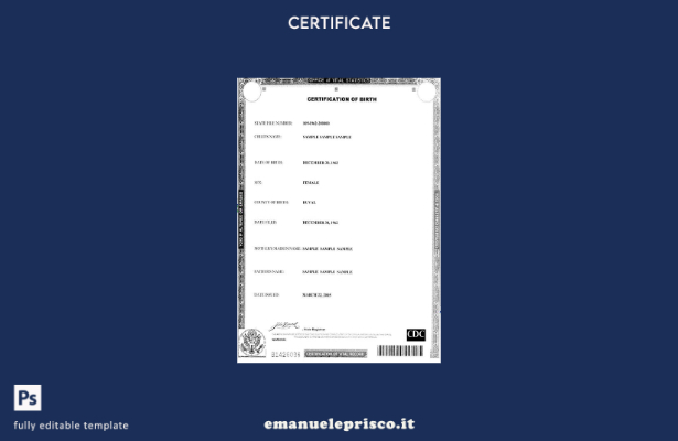 stile verificato Modello di certificato di nascita dell'Ufficio di statistica vi